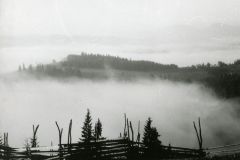 Хутір Синиці, ранок. 1990-і рр.